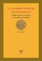 A La Sombra Ejemplar De Los Parrales: Cultura Del Vino En Galicia Y Otros Espacios Peninsulares