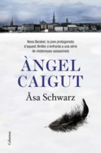 Angel Caigut
