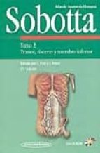 Atlas De Anatomia: Tronco, Visceras Y Miembro Inferior