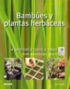 Bambues Y Plantas Herbaceas