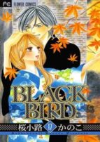Black Bird Nº 17