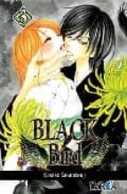 Black Bird Nº 3