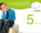 Cachalote 5 Años. Tercer Trimestre. Educación Infantil 3-5 Años PDF