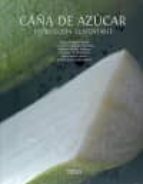 Caña De Azucar - Produccion Sustentable