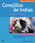 Conejillos De Indias: Mascotas En Casa