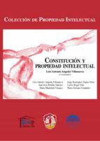 Constitución Y Propiedad Intelectual
