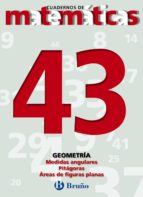 Cuaderno De Matematicas 43: Geometria