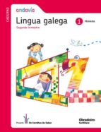 Cuaderno Lingua Glob Andavia 1º Primaria
