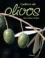 Cultivo De Olivos