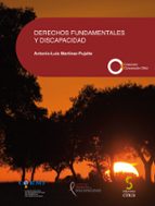 Derechos Fundamentales Y Discapacidad PDF