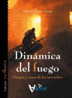 Dinamica Del Fuego: Origen Y Causa De Los Incendios