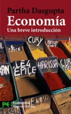 Economia: Una Breve Introduccion