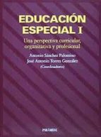 Educacion Especial: Una Perspectiva Curricular, Organizativa Y Pr Ofesional