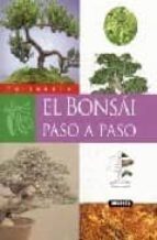 El Bonsai Paso A Paso