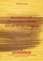 El Cachalote, Physeter Macrocephalus, En Las Islas Canarias PDF