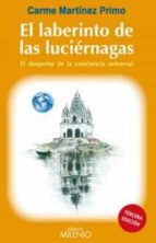 El Laberinto De Las Luciernagas: El Despertar De La Consciencia U Niversal