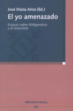 El Yo Amenazado: Ensayos Sobre Wittgenstein Y El Sinsentido PDF
