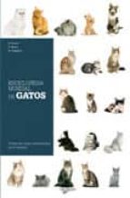 Enciclopedia Mundial De Gatos