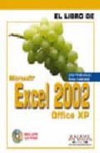 Excel 2002 PDF