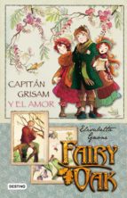Fairy Oak: Capitan Grisam Y El Amor PDF