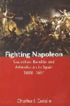 Fighting Napoleon: Guerrillas, Bandits And Adventurers In Spain 1 808-1814