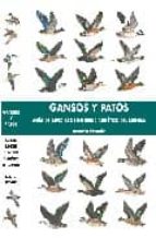 Gansos Y Patos: Guia De Especies De Interes Cinegetico Del Mundo PDF