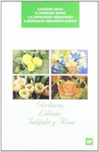 Gerbera, Lilium, Tulipan Y Rosa PDF
