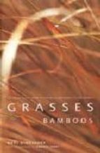 Grasses And Bamboos: Using Form And Shape To Create Visual Impact In The Garden