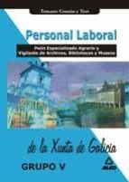 Grupo V Personal Laboral De La Xunta De Galicia