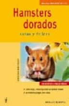 Hamsters Dorados