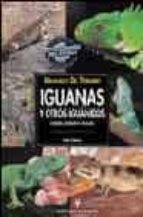 Iguanas Y Otros Iguanidos