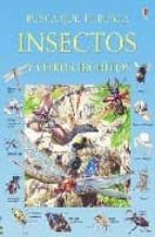Insectos Y Otros Bichitos
