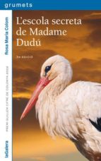 L Escola Secreta De Madame Dudu PDF