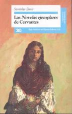 Las Novelas Ejemplares, De Cervantes