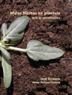 Malas Hierbas En Plantula