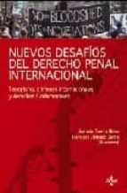 Nuevos Desafios Del Derecho Penal Internacional: Terrorismo, Crim Enes Internacionales Y Derechos Fundamentales