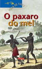 O Paxaro Do Mel PDF