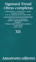 Obras Completas : Sobre Un Caso De Paranoia Descrito Au Tobiograficamente; Trabajos Sobre Tecnica... Obrastras Obras PDF