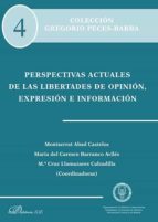 Perspectivas Actuales De Las Libertades De Opinion, Expresion E I Nformacion