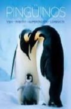 Pinguinos: Vida, Habitat, Alimentacion, Conducta