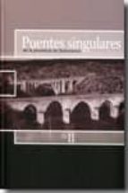 Puentes Singulares De La Provincia De Salamanca Vol. Ii