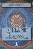 ¿que Es La Mente?: La Explicacion Del Budismo Tibetano PDF