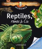 Reptiles, Ranas & Cia