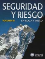 Seguridad Y Riesgo Vol.iii