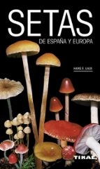 Setas De España Y De Europa