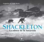 Shackelton: La Odisea De La Antartida