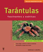 Tarantulas Fascinantes Y Exoticas