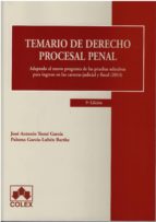 Temario De Derecho Procesal Penal: Adaptado Al Nuevo Programa De Las Pruebas Selectivas Para Ingreso En Las Carreras Judicial Y Fiscal 2014 PDF