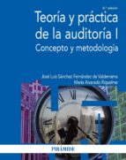 Teoria Y Practica De La Auditoria I: Concepto Y Metodologia