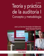 Teoria Y Practica De La Auditoria I: Concepto Y Metodologia